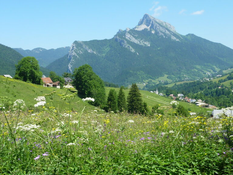 Camping Sites Et Paysages De Martinière - Bild 9 Camping Sites Et Paysages De Martinière - Bild 9