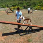 Camping Slatina - Bild 14 Camping Slatina - Bild 14