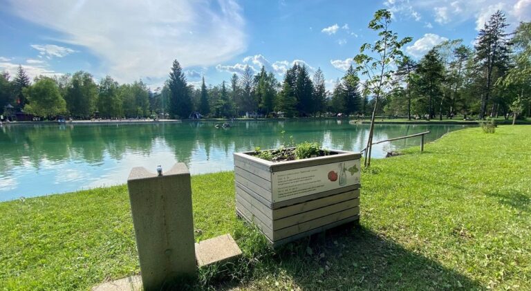 Camping Šobec - Bild 14