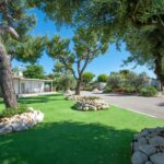 Stork Family Collection - Bild 1