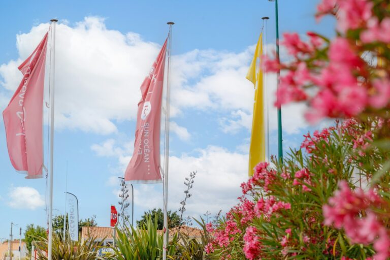 Camping Sun Ocean - Bild 4