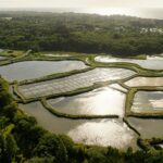 Camping Sunêlia Le Petit Bois - Bild 3 Camping Sunêlia Le Petit Bois - Bild 3