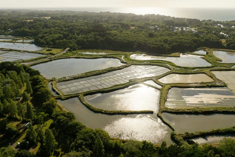 Camping Sunêlia Le Petit Bois - Bild 3 Camping Sunêlia Le Petit Bois - Bild 3