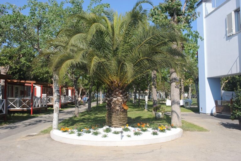 Camping Surabaja La Playa - Bild 18