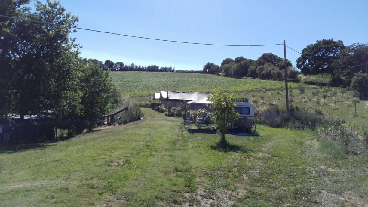 Camping Tenuta Tredici Ulivi - Bild 6 Camping Tenuta Tredici Ulivi - Bild 6