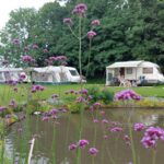 Camping Ter Leede - Bild 7