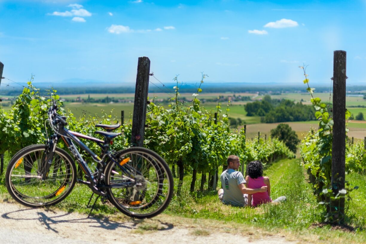 Camping Terme 3000 - Bild 8 Camping Terme 3000 - Bild 8