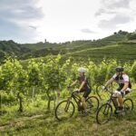 Camping Terme Ptuj - Bild 18