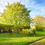 Camping Tohapi Le Phare D`opale - Bild 5