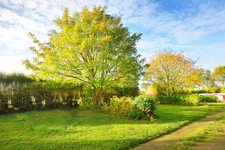 Camping Tohapi Le Phare D`opale - Bild 5