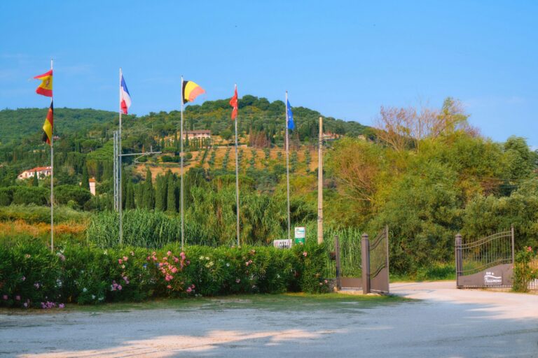 Camping Trasimeno - Bild 17 Camping Trasimeno - Bild 17