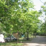 Camping Trevélez - Bild 11