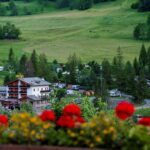 Camping Tunnel International - Bild 1 Camping Tunnel International - Bild 1