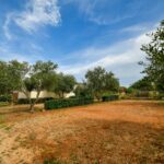 Camping Ugljan Resort - Bild 10 Camping Ugljan Resort - Bild 10