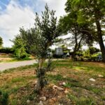 Camping Ugljan Resort - Bild 12 Camping Ugljan Resort - Bild 12