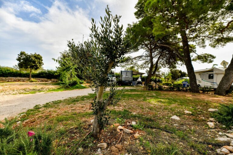 Camping Ugljan Resort - Bild 12 Camping Ugljan Resort - Bild 12