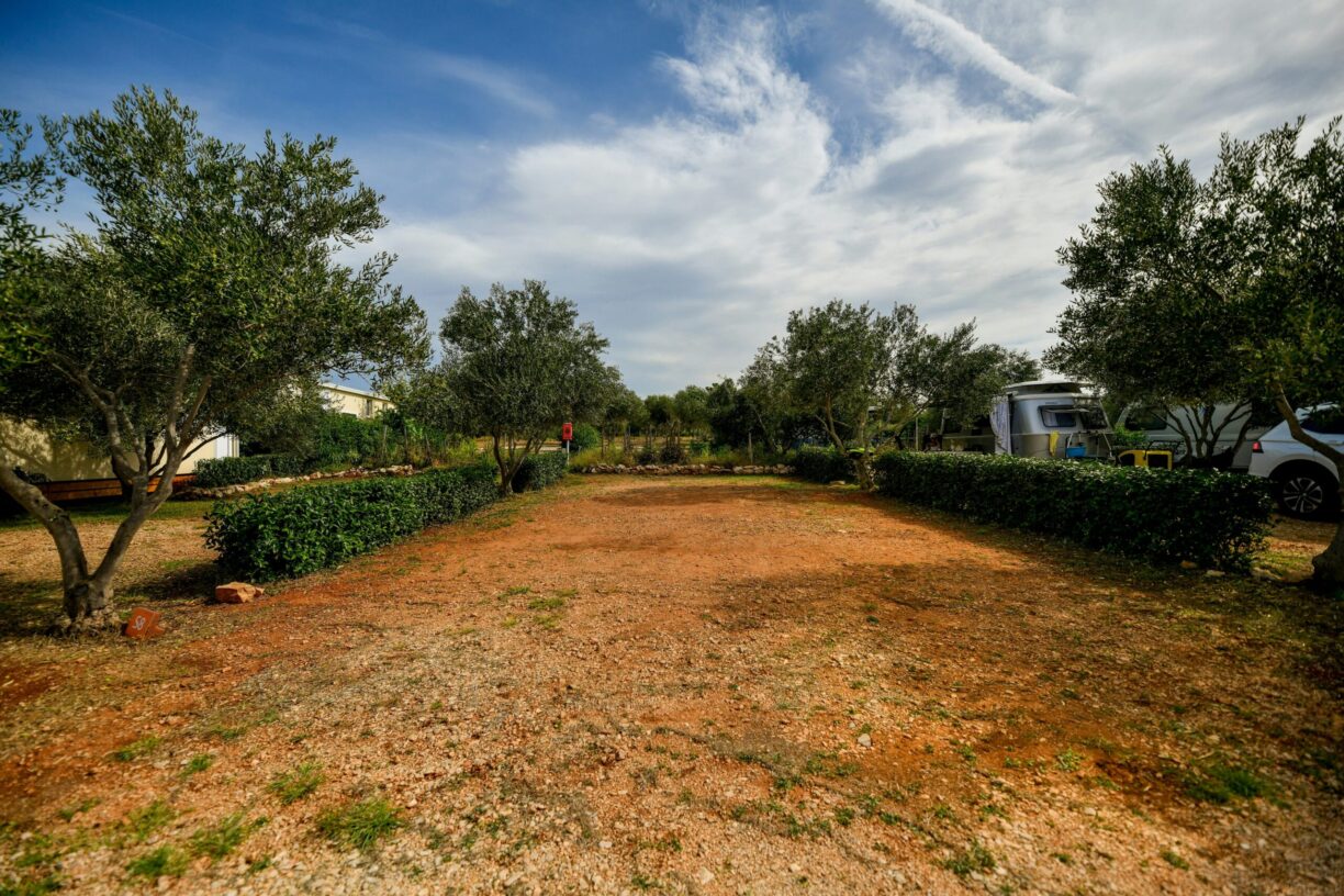 Camping Ugljan Resort - Bild 7 Camping Ugljan Resort - Bild 7