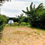 Camping Ugljan Resort - Bild 9 Camping Ugljan Resort - Bild 9