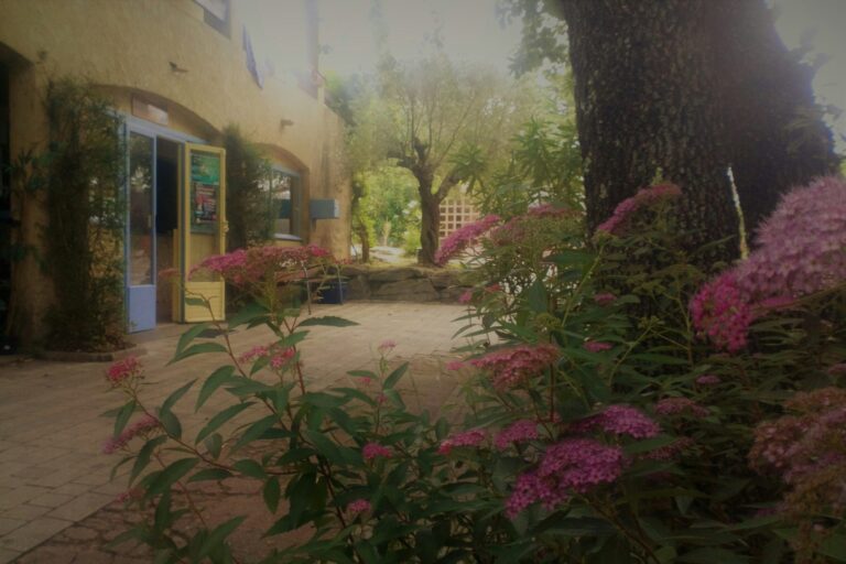 Camping Universal - Bild 11 Camping Universal - Bild 11