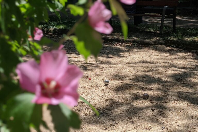 Camping Universal - Bild 17 Camping Universal - Bild 17