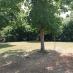 Camping Ushuaïa Village Les Chalets De Moulière - Bild 4