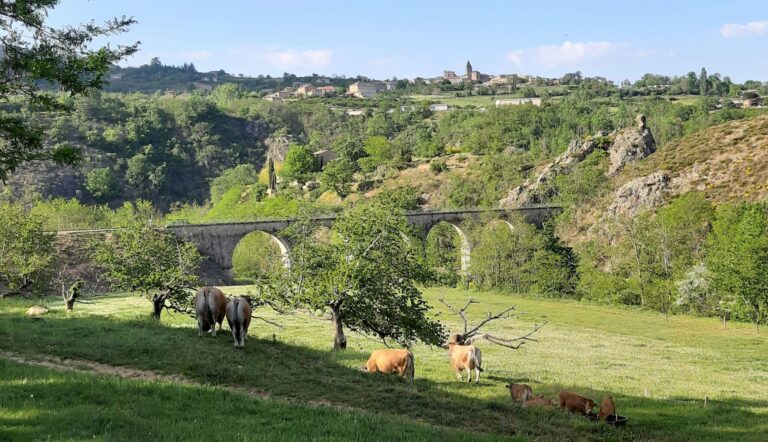 Camping Ushuaïa Villages Le Viaduc - Bild 11