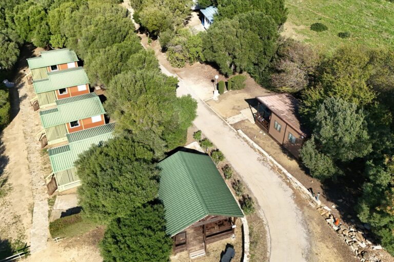 Taiga Tarifa Valdevaqueros - Bild 1