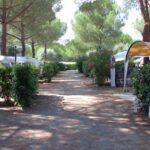 Camping Valle Gaia - Bild 5