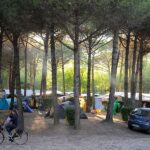 Camping Village Al Boschetto - Bild 6