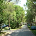 Camping Village Belvedere Pineta - Bild 9 Camping Village Belvedere Pineta - Bild 9