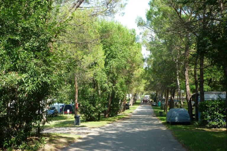 Camping Village Belvedere Pineta - Bild 9 Camping Village Belvedere Pineta - Bild 9