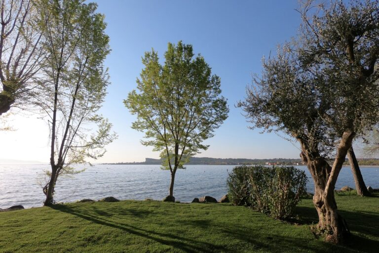 Camping Village Europa Silvella - Bild 20