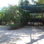 Camping Village International - Bild 10