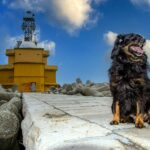 Camping Village Miramare - Bild 12 Camping Village Miramare - Bild 12