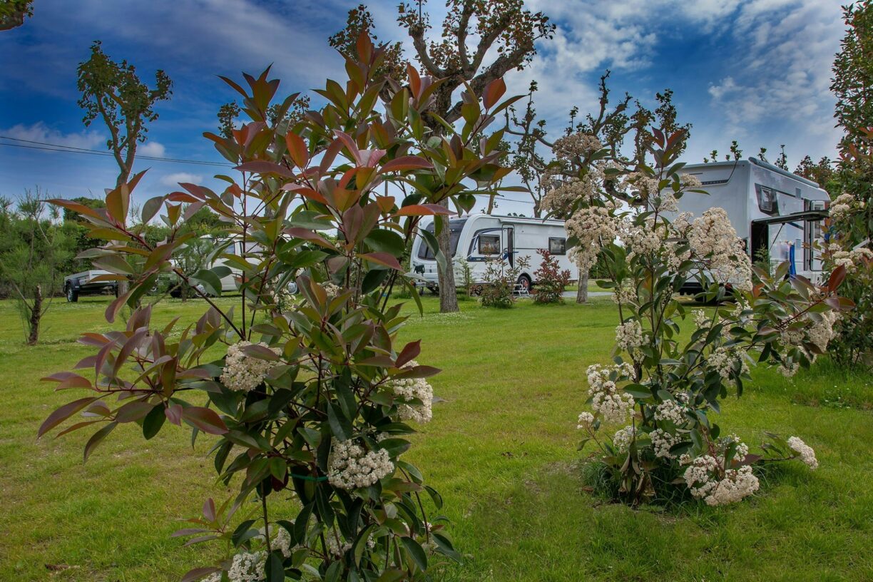 Camping Village Miramare - Bild 6 Camping Village Miramare - Bild 6