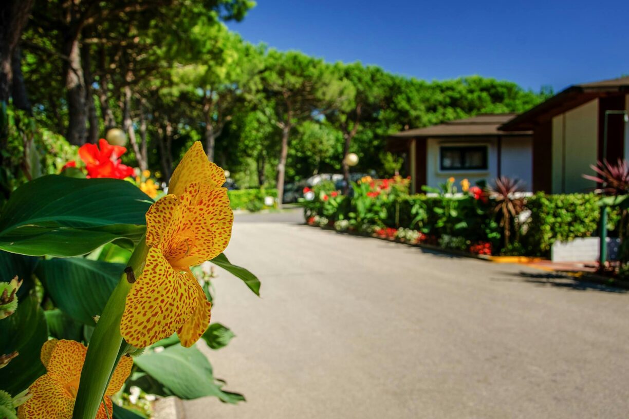 Camping Village Miramare - Bild 9 Camping Village Miramare - Bild 9