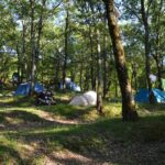 Camping Village Mugello Verde - Bild 20 Camping Village Mugello Verde - Bild 20