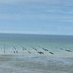 Camping Village Nature D'o - Bild 4