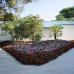 Camping Village Pino Mare - Bild 12