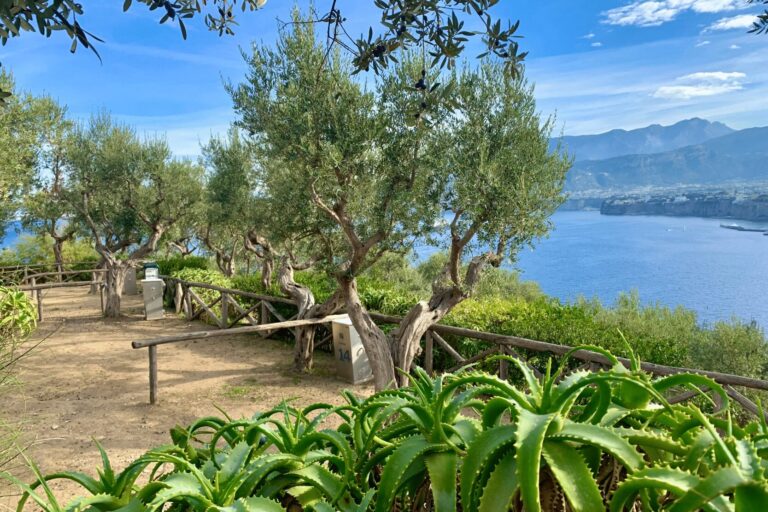 Camping Village Santa Fortunata - Bild 3