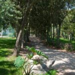 Camping Village Ultima Spiaggia - Bild 8