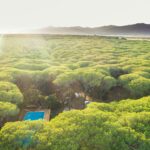 Camping Villaggio Le Marze - Bild 9