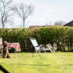 Camping Vinkenhof - Bild 12 Camping Vinkenhof - Bild 12