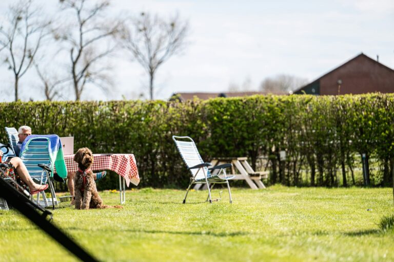 Camping Vinkenhof - Bild 12 Camping Vinkenhof - Bild 12