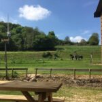 Camping Vinkenhof - Bild 20 Camping Vinkenhof - Bild 20