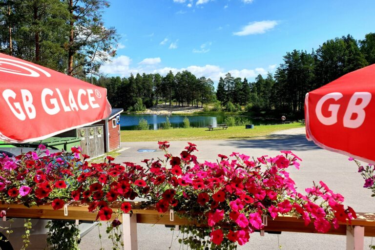 Camping Vivstavarvstjärn - Bild 10 Camping Vivstavarvstjärn - Bild 10