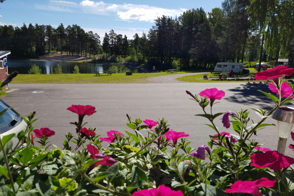 Camping Vivstavarvstjärn - Bild 11 Camping Vivstavarvstjärn - Bild 11