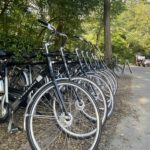 Camping Vliegenbos - Bild 13