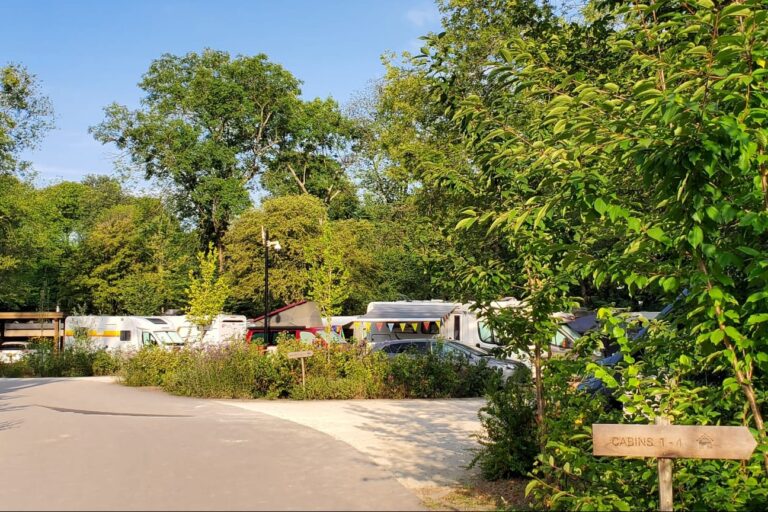 Camping Vliegenbos - Bild 1