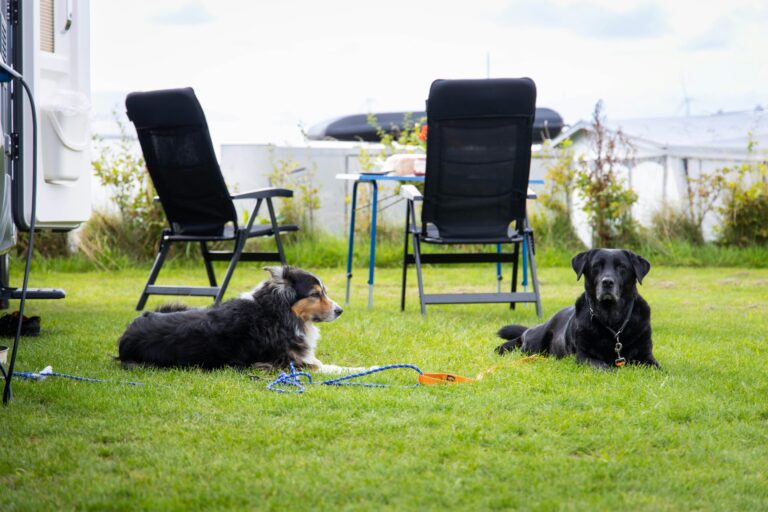 Camping Waddenzee - Bild 8